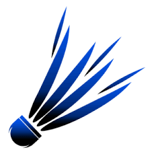 Logo Comité Départemental 41 de badminton